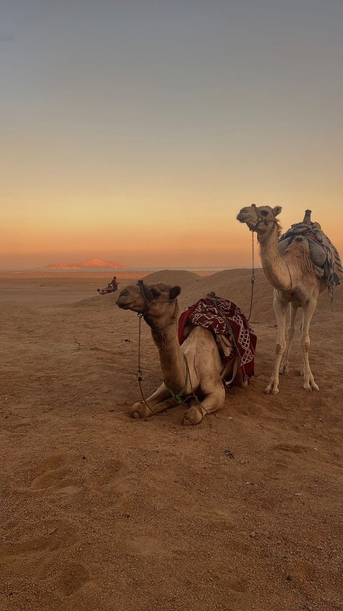 echoesofworld's tweet photo. Suudi Arabia https://t.co/VKaxNSaJkD