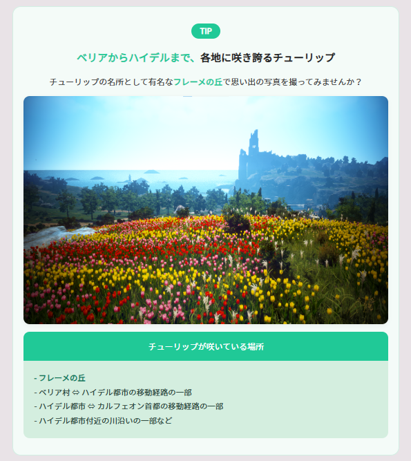 OFFICIAL_BDJP's tweet photo. ⚠️イベント期間まもなく終了⚠️

🌷荘園を彩る、6色のチューリップ🌷
⏰2026年4月23日(木)メンテナンス前まで

📢今年も黒い砂漠の世界に
色とりどりのチューリップが咲きました✨

✅さらに、6色のチューリップを販売する
4人のイベント商人が荘園前に登場❗️

https://t.co/ykcbgiZA3n
#黒い砂漠 #黒い砂漠PC

📣チューリ��プを設置して
自分だけの春の荘園を作りましょう🌷