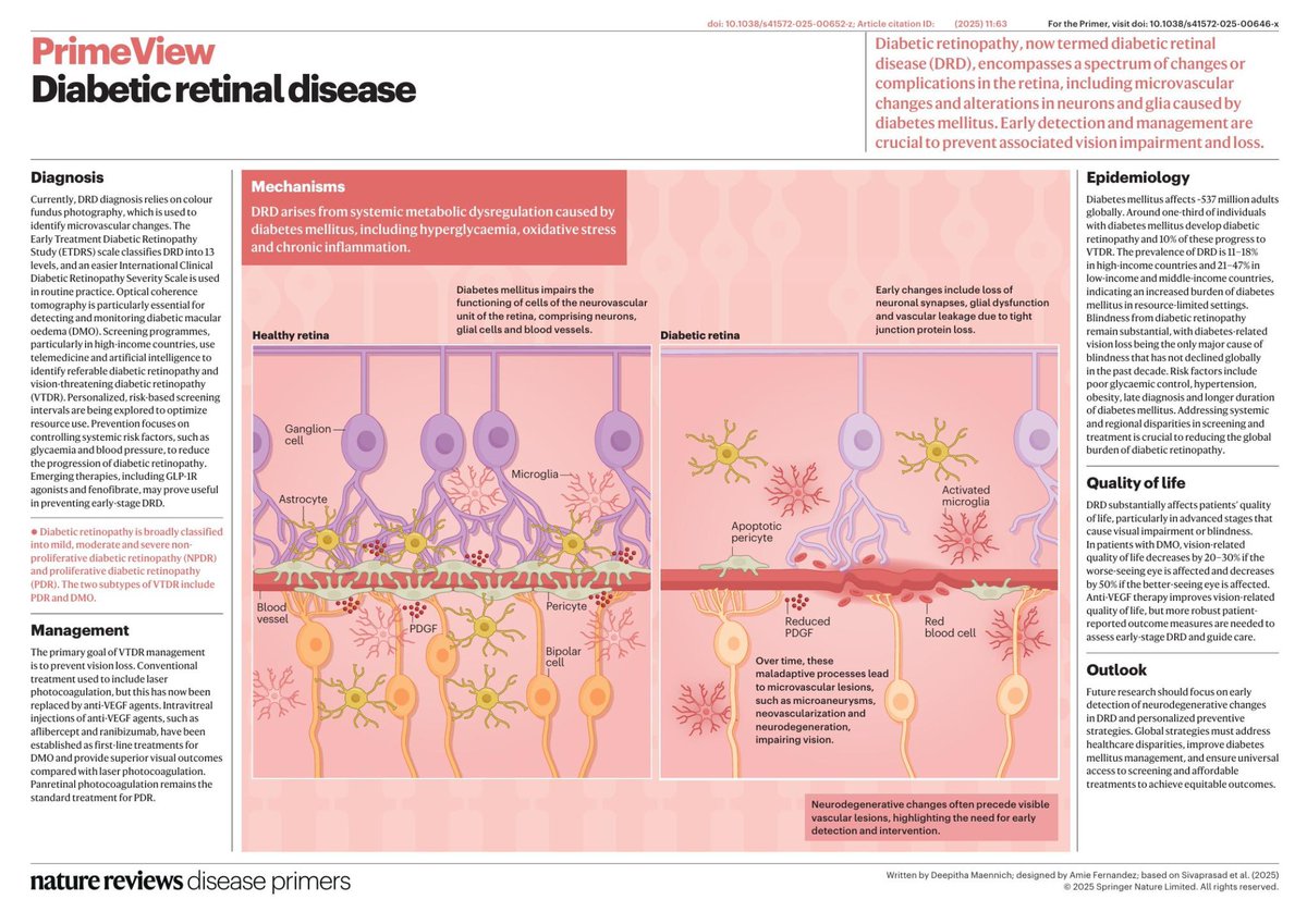 NutrioSci's tweet image. Diabetic retinal disease

#medx #Meded #diabetes #Nutrition #metabolism