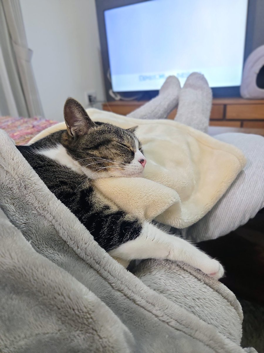 つくね tweet media