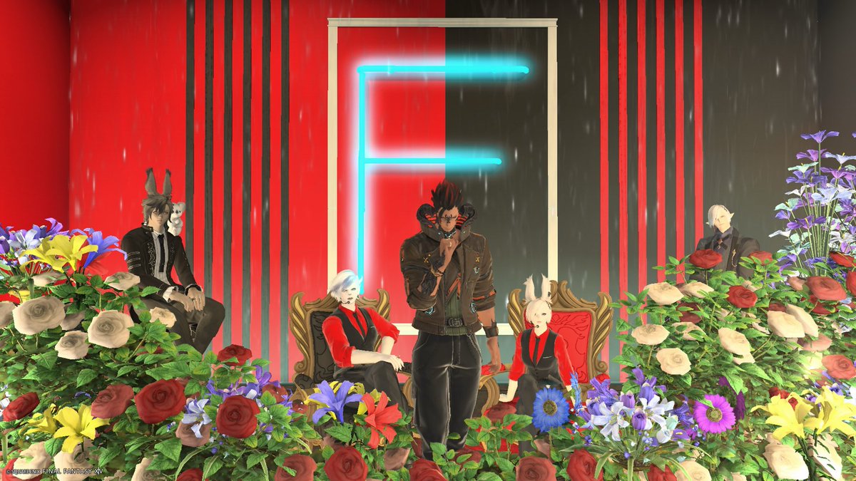 バル：F： tweet media