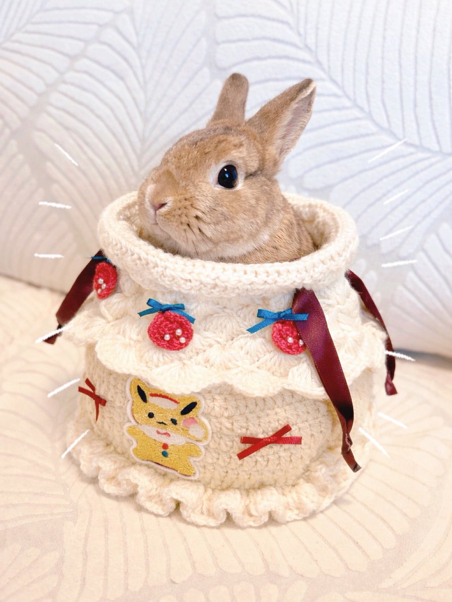 あんこもち🍡 tweet media