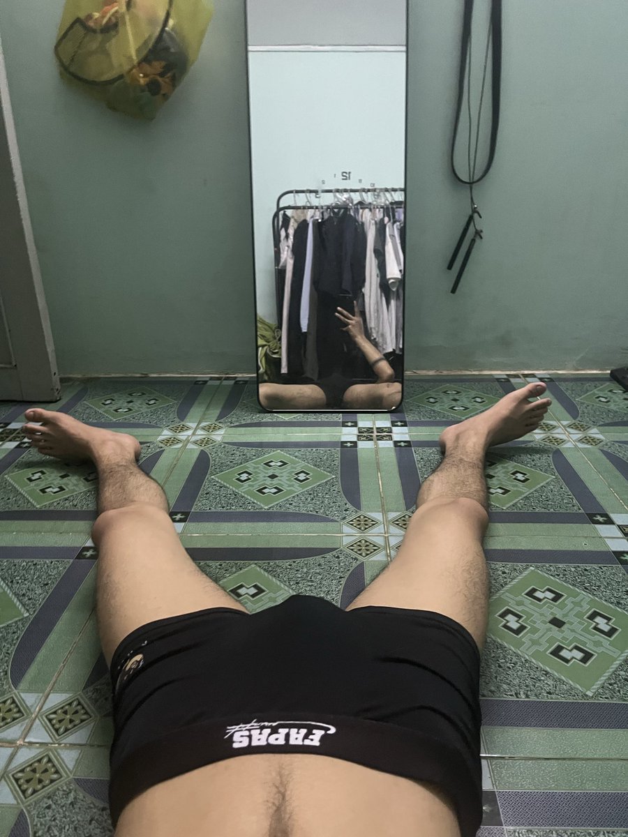 gấu pada tweet media