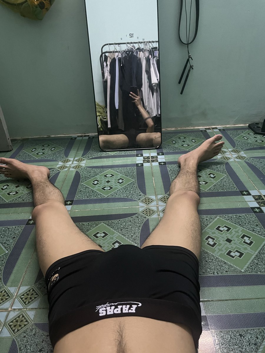 gấu pada tweet media