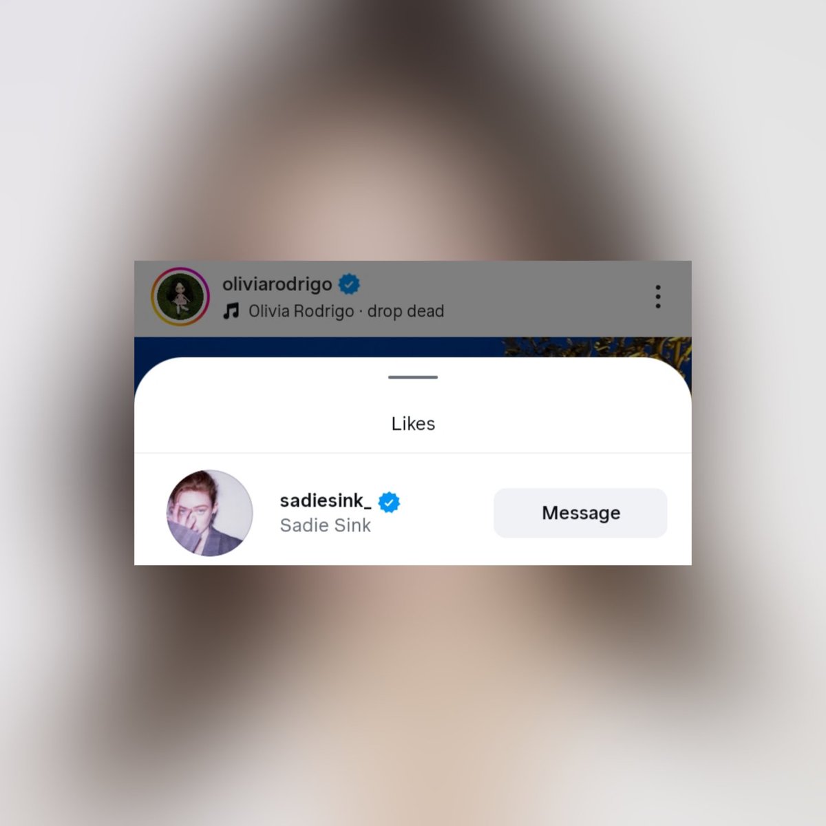 Update Olivia Brasil tweet media