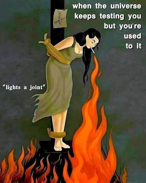 𝒜𝓃𝑔𝑒𝓁🪽 tweet media