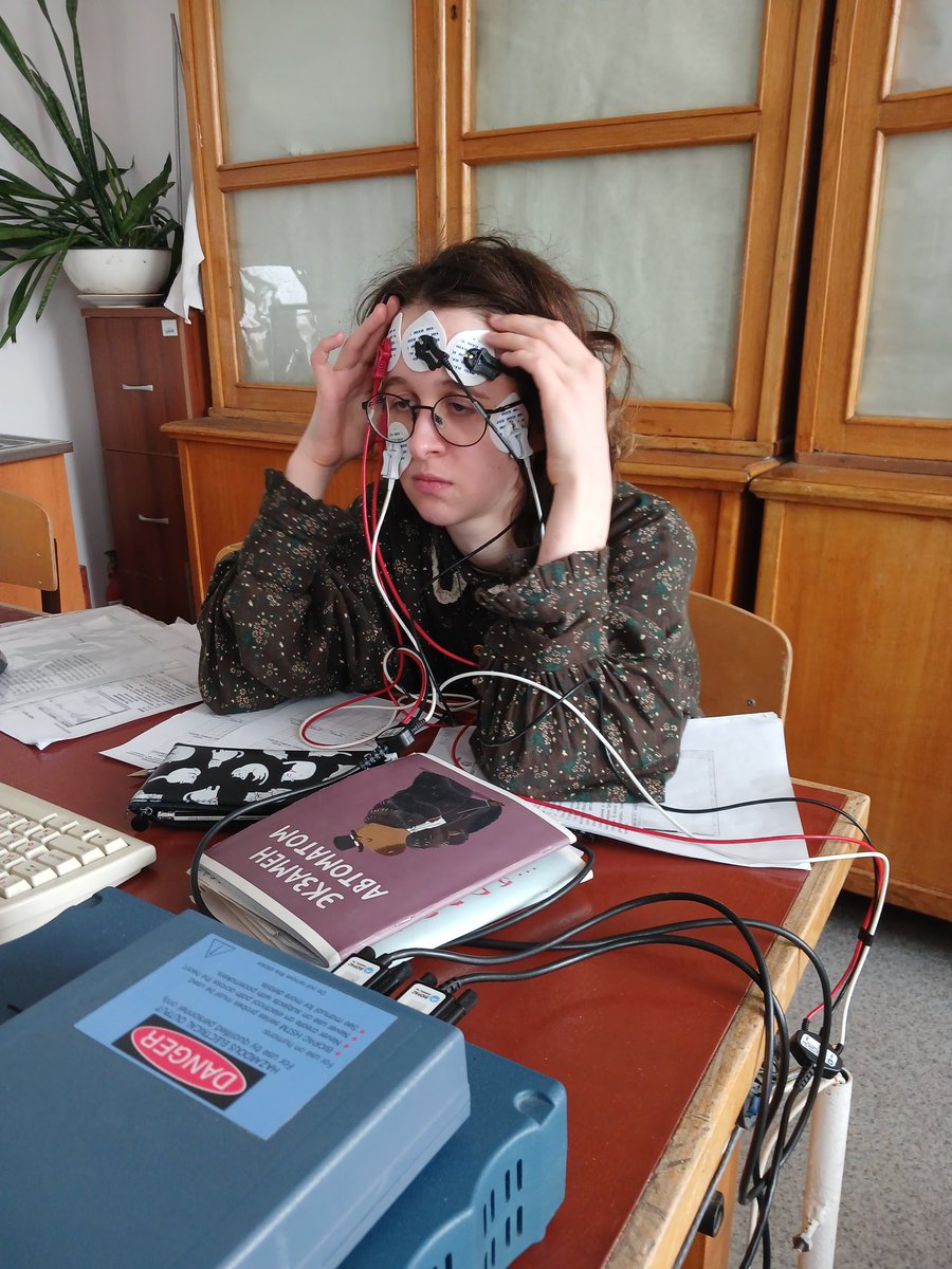 🪴echeveria tweet media