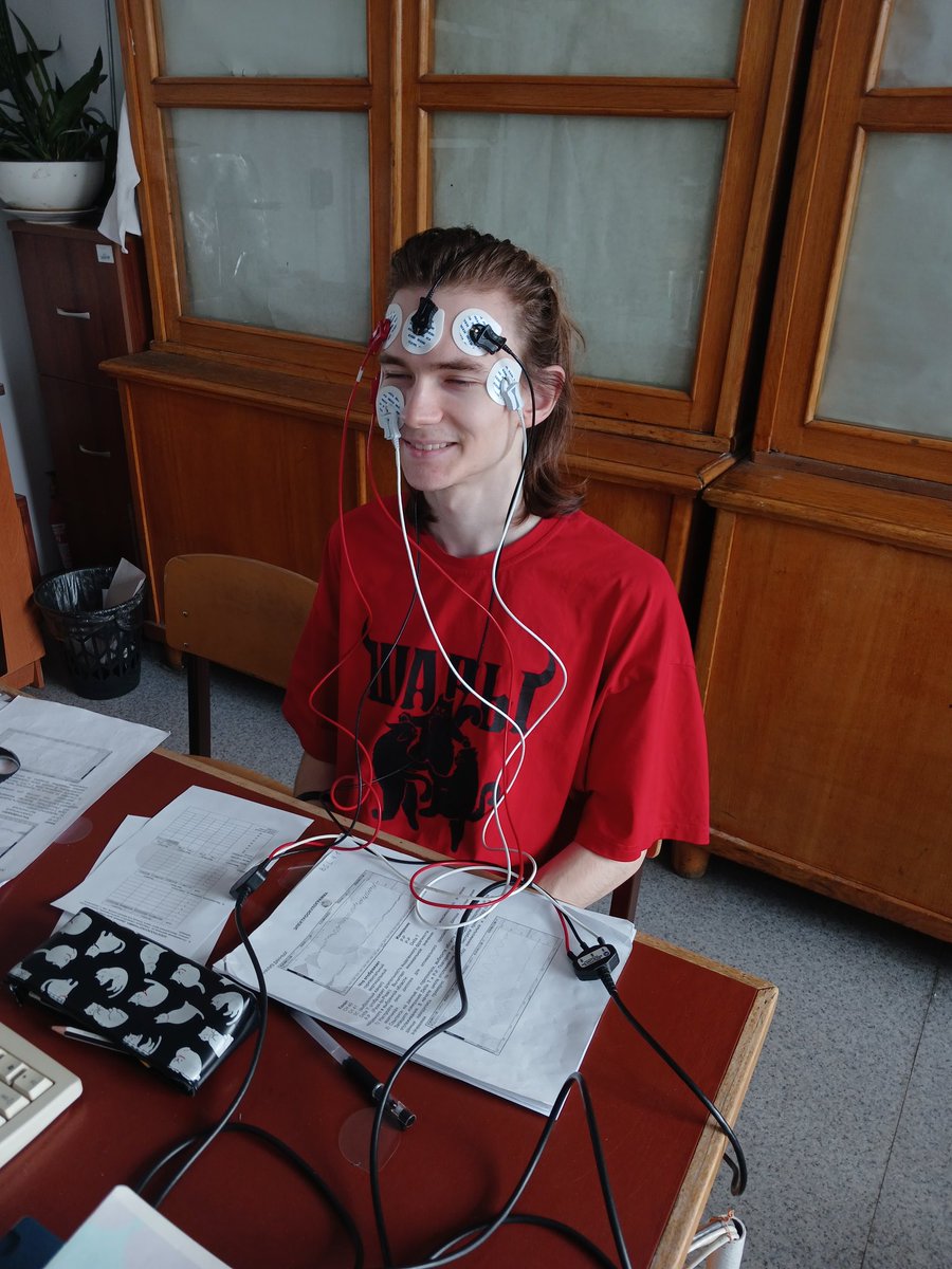 🪴echeveria tweet media