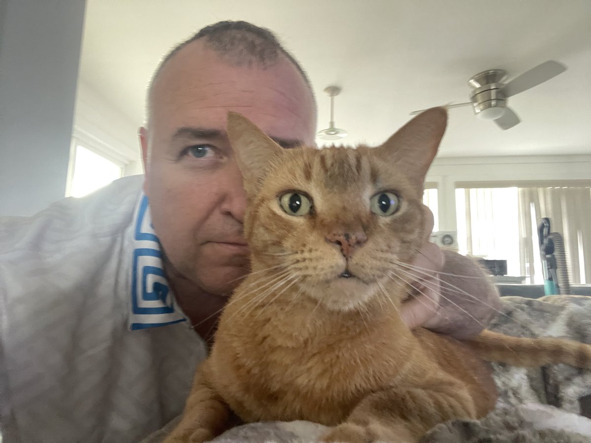 VadFredMan 🌐 tweet media