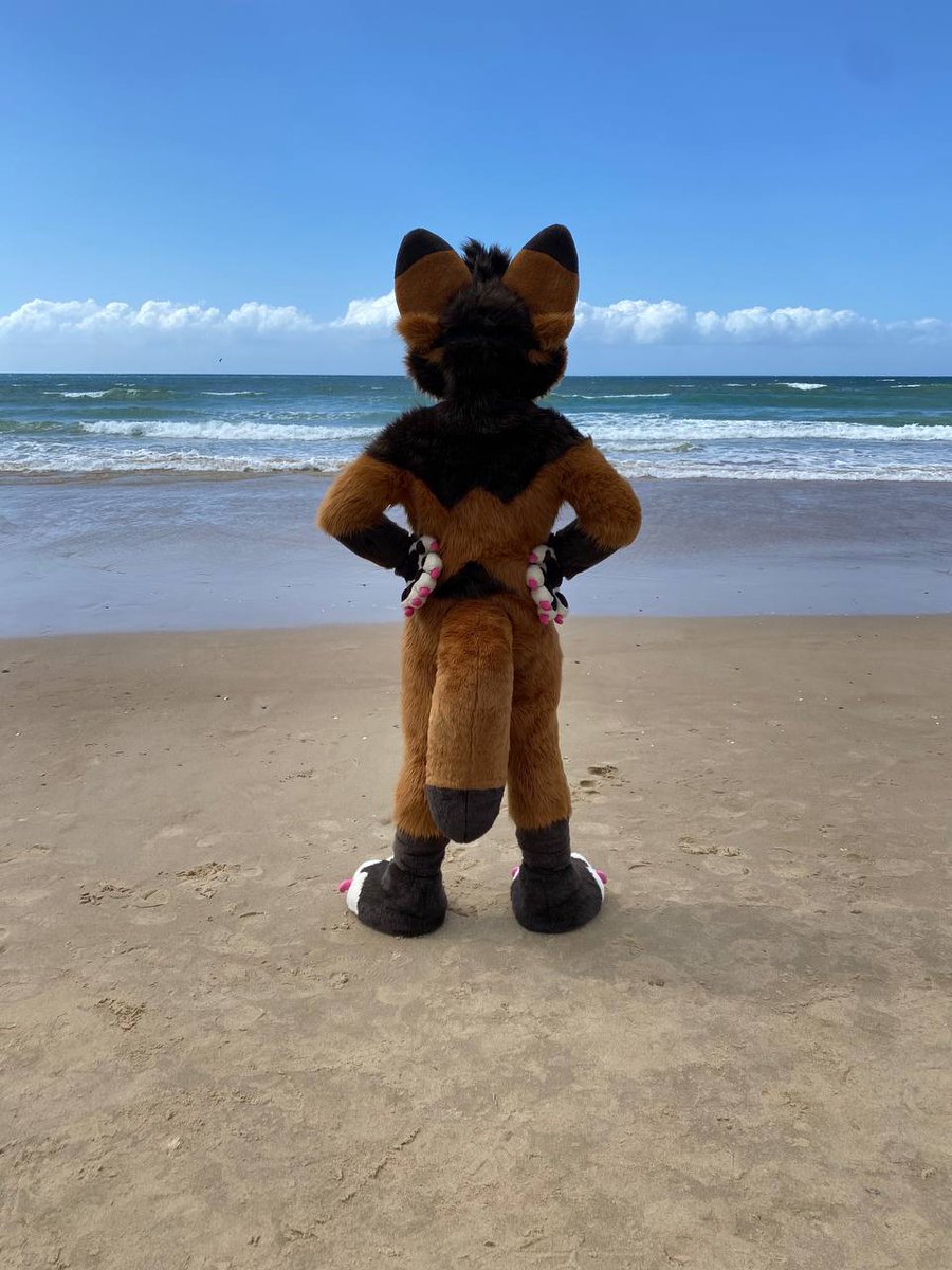 Savaj🔜Furdu🇦🇺 GoH tweet media