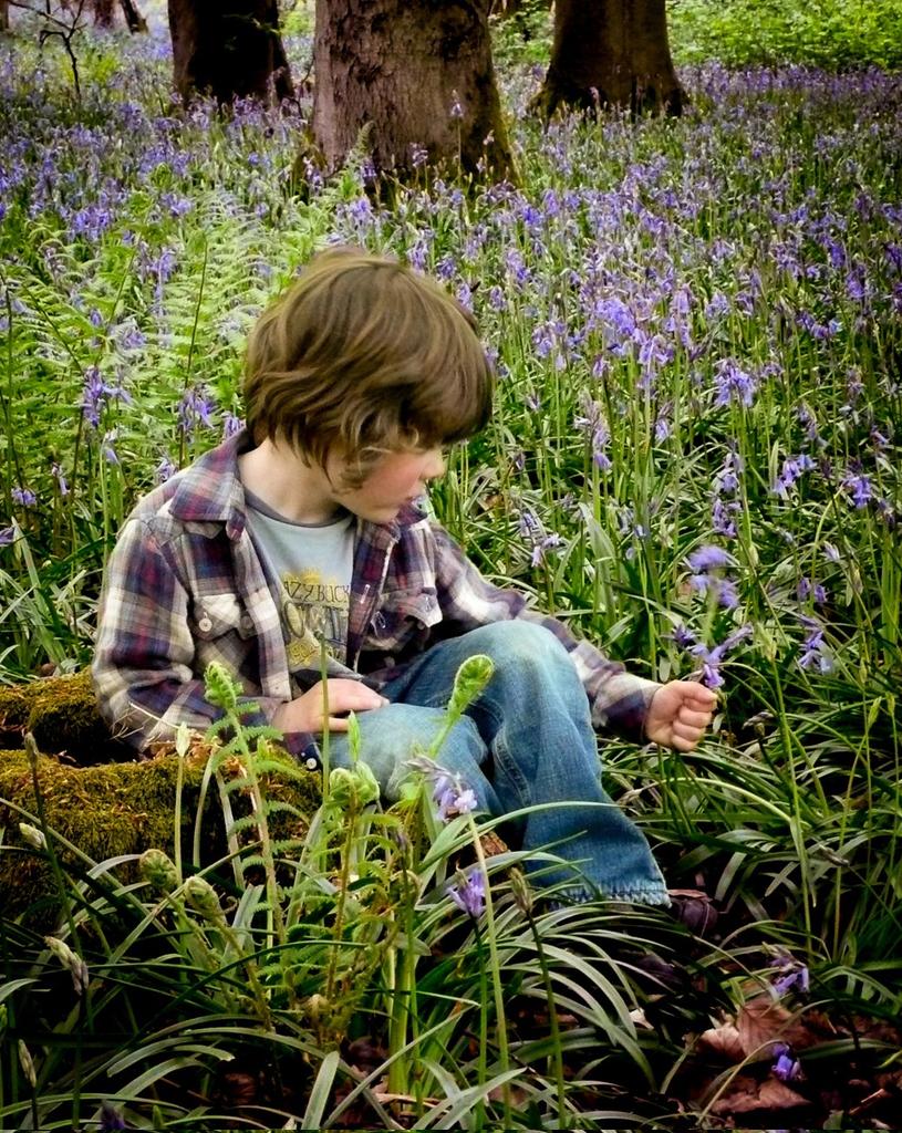 Alex James tweet media