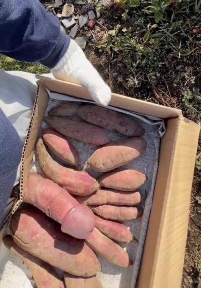 杆墩天槽地扯 tweet media