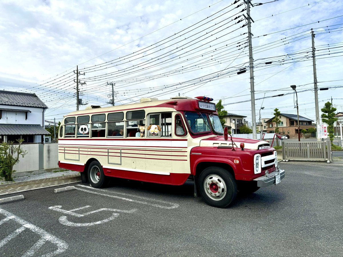 shintadeath's tweet photo. 第22回ぎょうだ蔵めぐりまち歩き、初日に行ってみたデス！ボンネットバス、毎回コー��が違ったらしく、全部の回に乗車したいぐらい解説が面白かったデス！そして窓から吹き込む風が心地よかったデス！ #行田 #gyoda #イベント #足袋 #スタンプラリー #bus #春 #spring https://t.co/wQ7Nnblbxd
