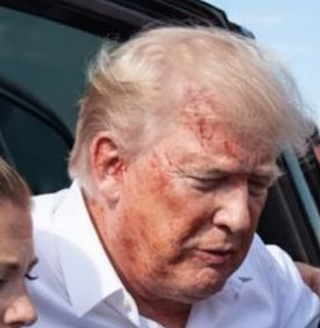 NotIan___F tweet media