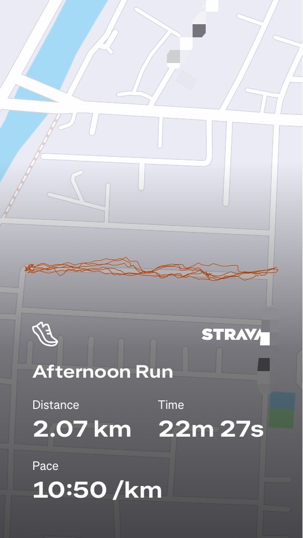 🌺⭐️👀 tweet media