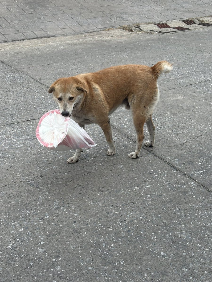 🌺⭐️👀 tweet media