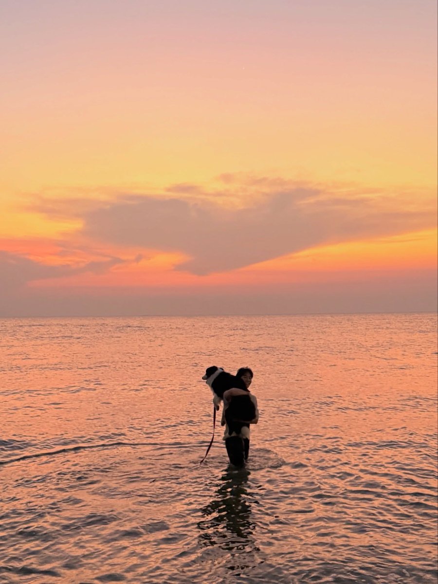 TheoryofYinWar's tweet photo. ทะเลกับแซมเมอร์

#sammerbcollie 
#หยิ่นวอร์ #warwanarat @warwanarat https://t.co/cteqMIrJch