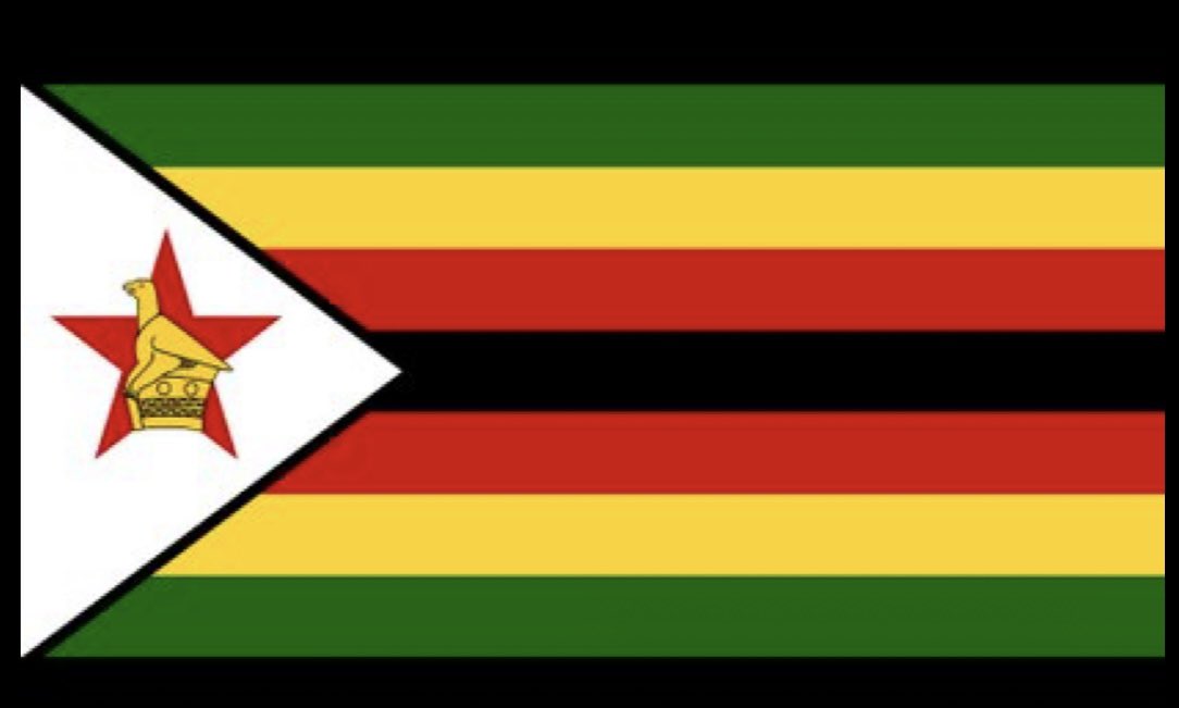 PreciousNodumo's tweet photo. The Flag.                                     The Face #zim46 https://t.co/CXAbgTXSh2