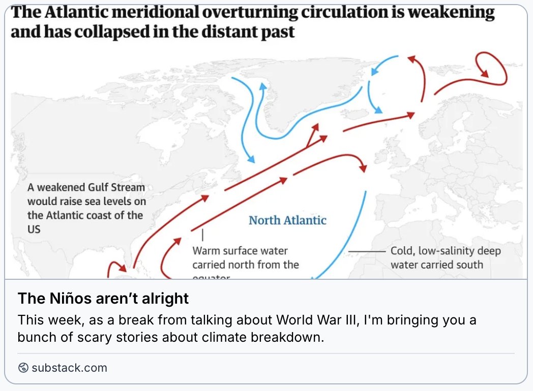 Grace Blakeley tweet media