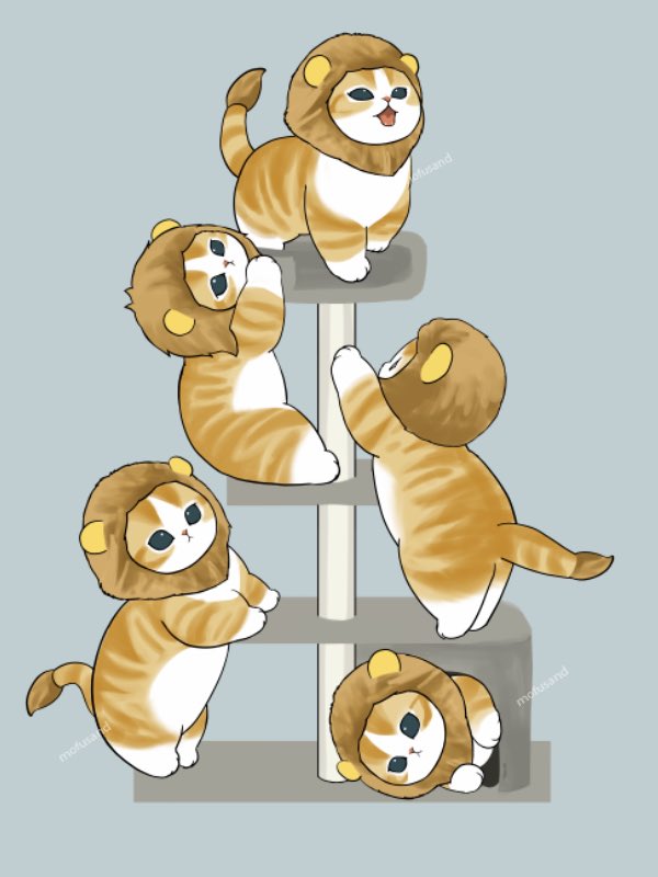 ぢゅの🐈 tweet media