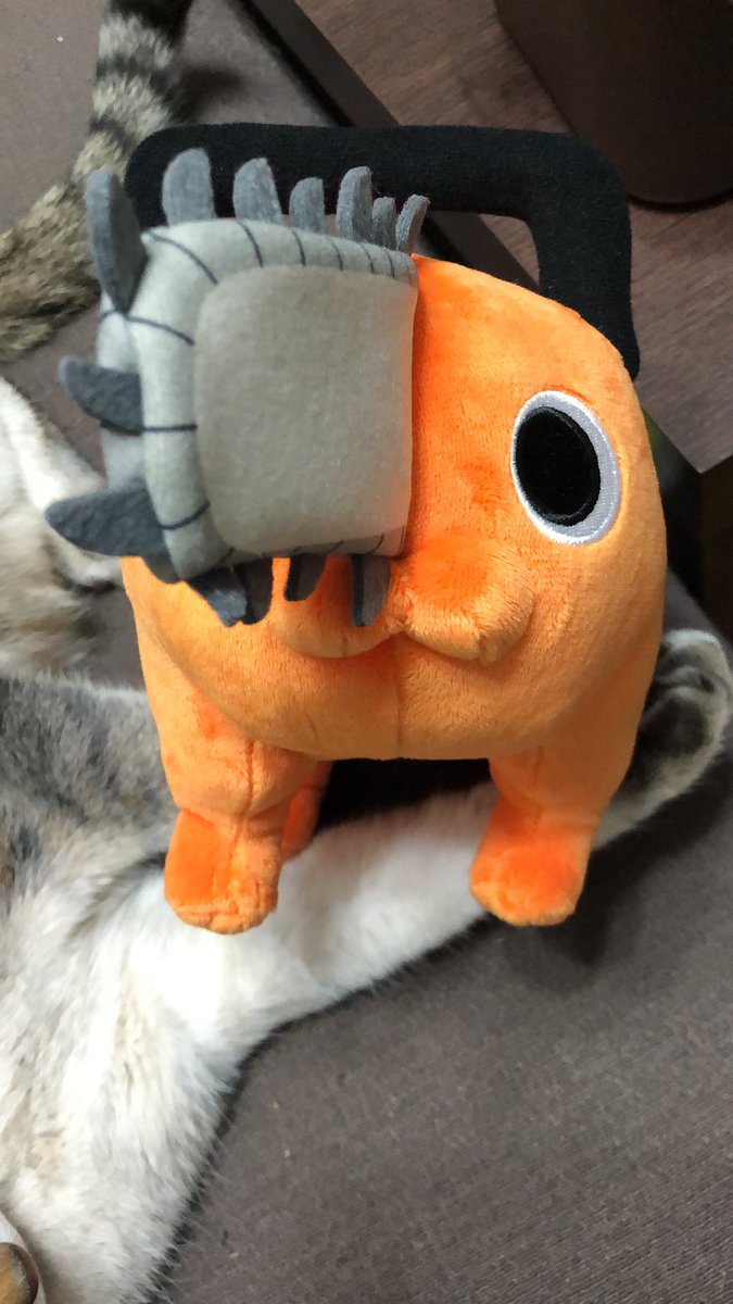 cacochin（かこちん） tweet media