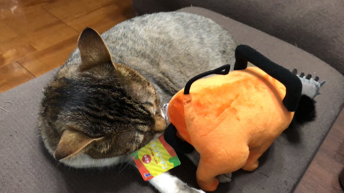 cacochin（かこちん） tweet media