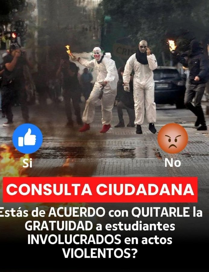 ENRIQUE TONOLLI tweet media