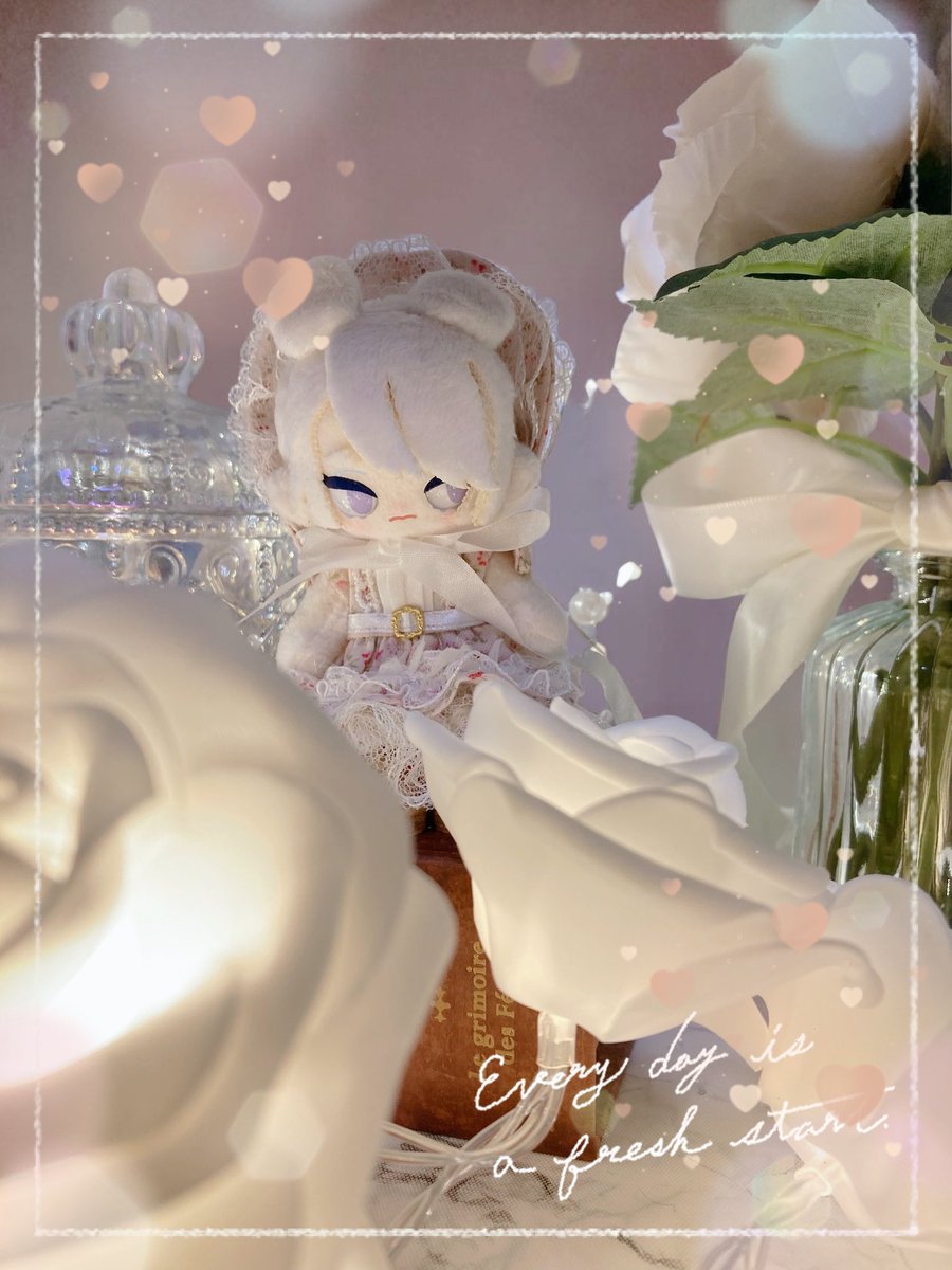 ナツメグ (@d2d70dxm47t) on Twitter photo 