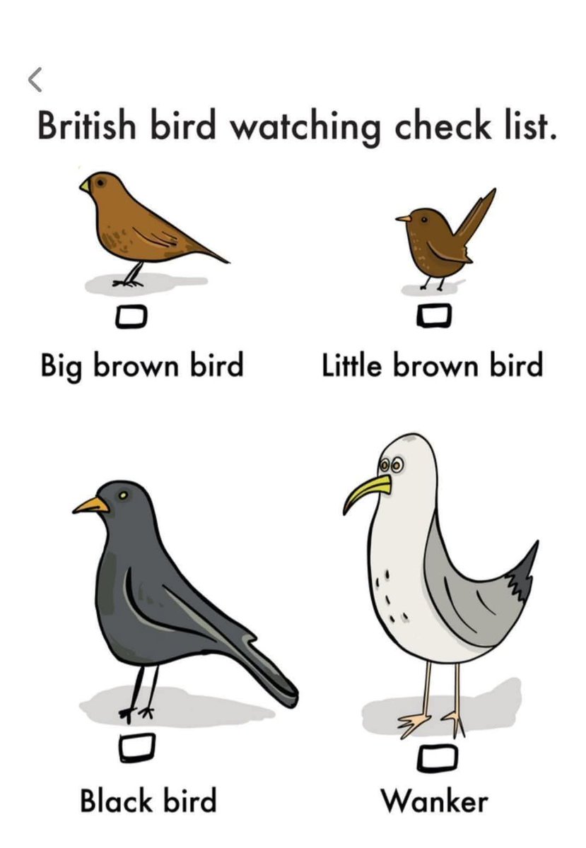 Birchy tweet media