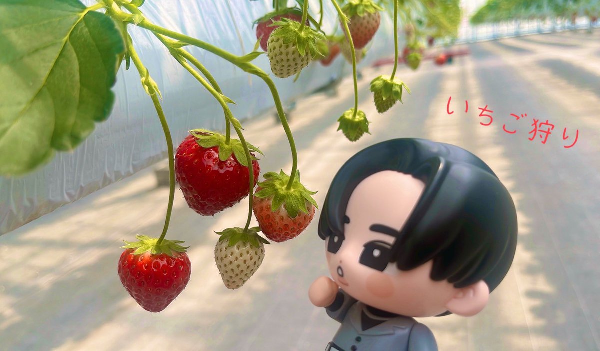 もえちゃん🌷 tweet media