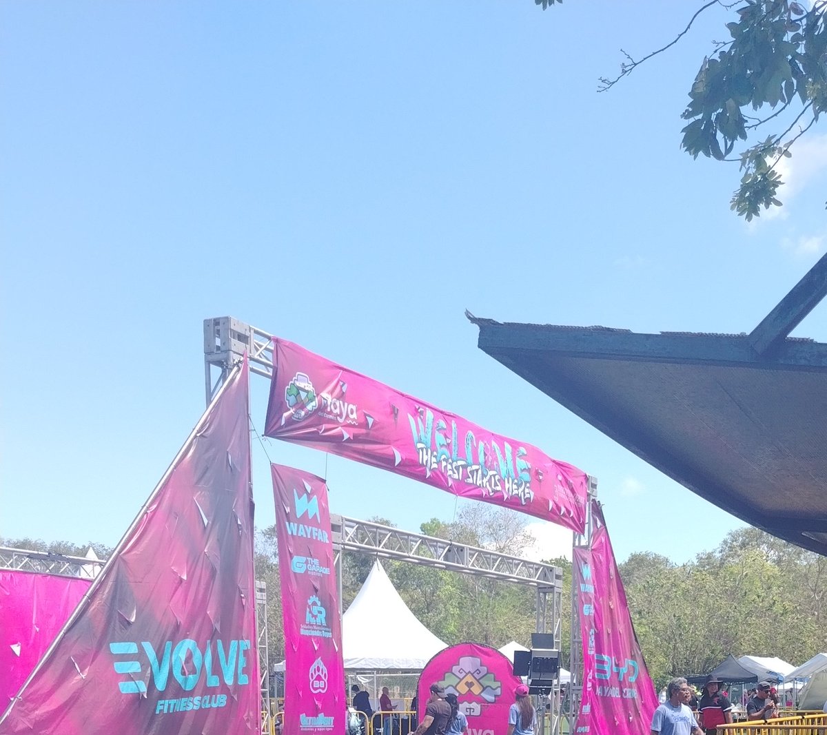 mariana leyva tweet media