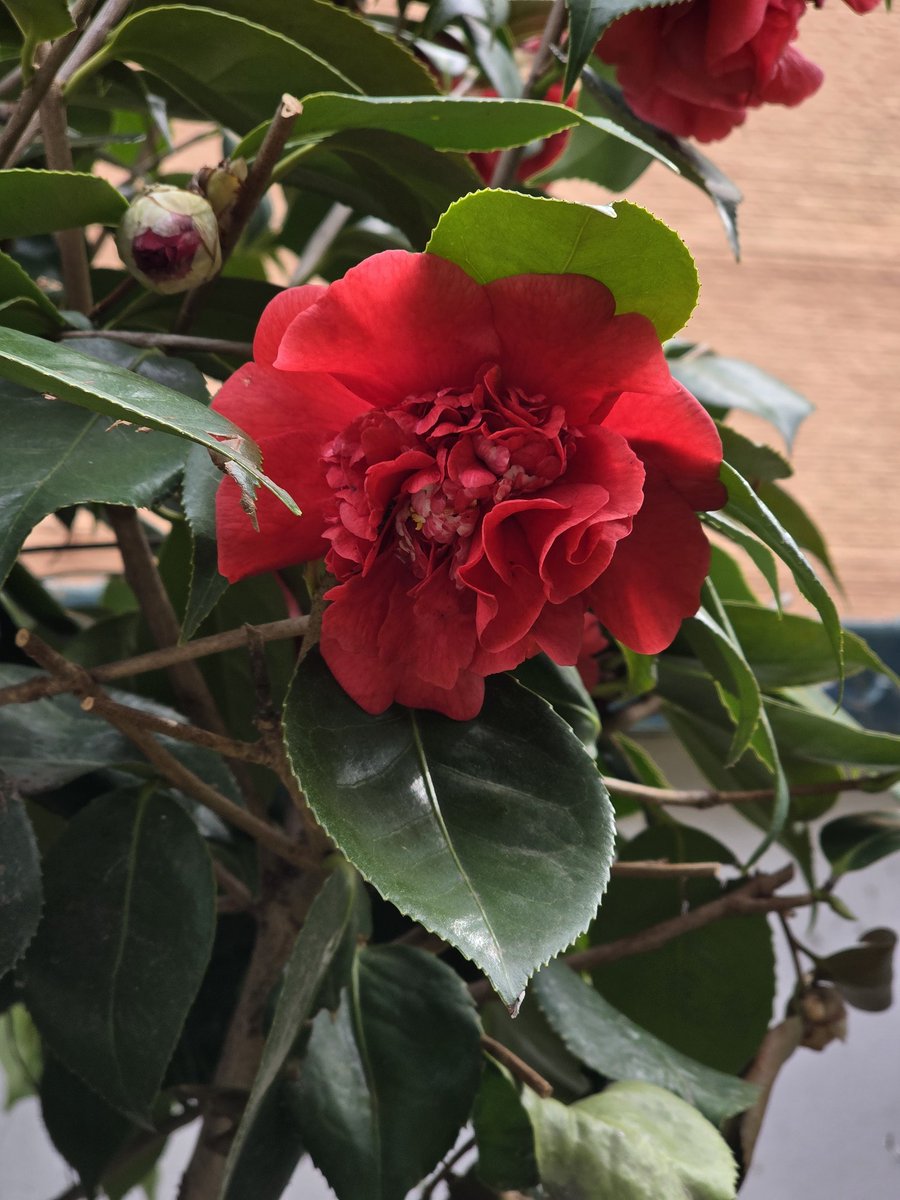 윤단아 tweet media