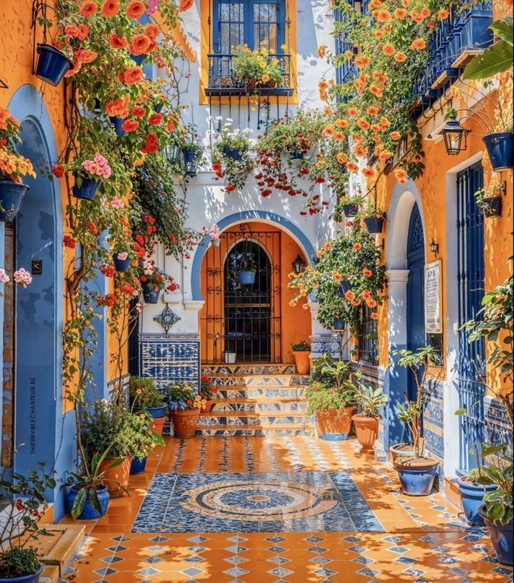 WORLD VIEW tweet media