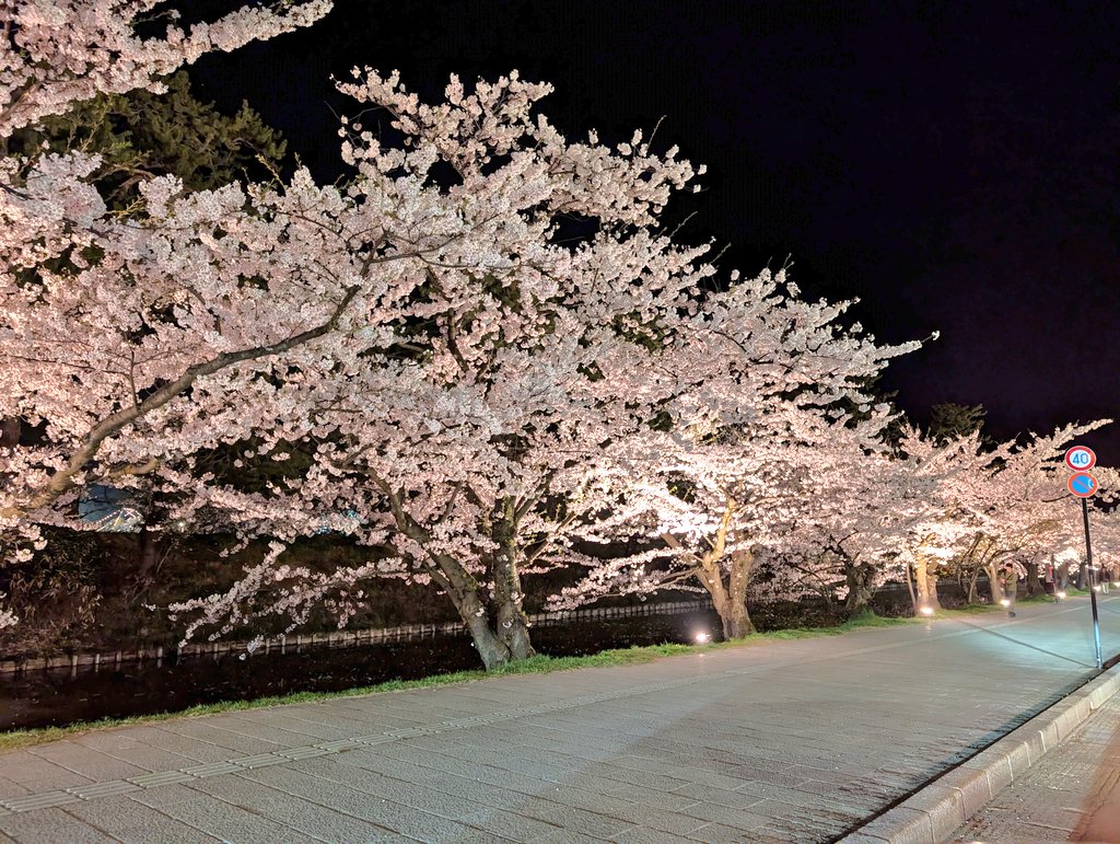 私のポンコツ📱でも結構綺麗に写るんですよー😆
ソメイヨシノは満開だけど枝垂れ🌸はまだこれからだし八重桜は蕾だからGWはそちらを楽しめそうですね
花筏は来週中頃かなー
観に行ける人は是非是非！
めっちゃ混んでるのでお覚悟を😂