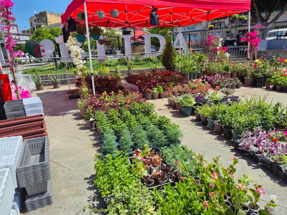 عبد الإله tweet media