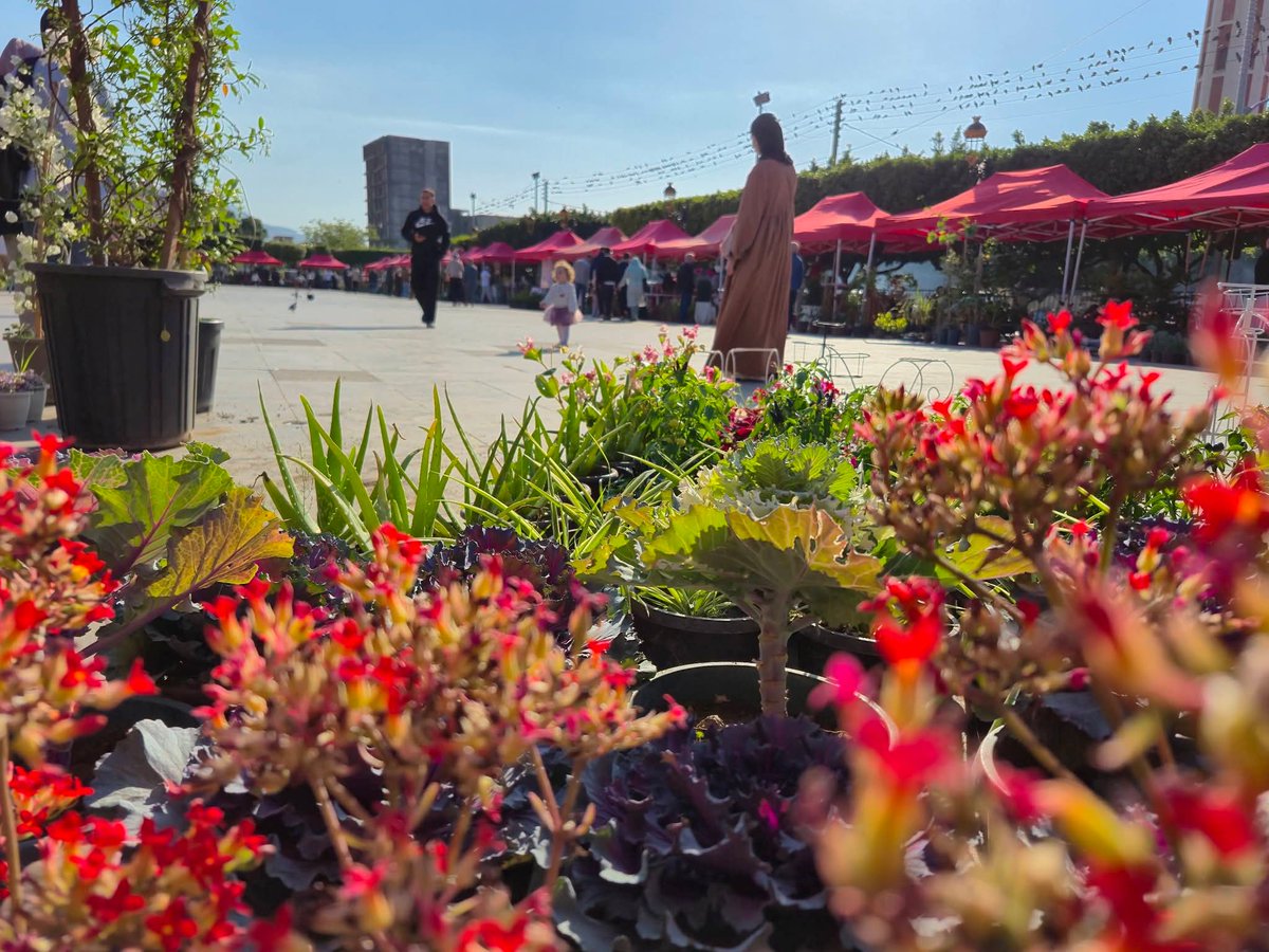 عبد الإله tweet media