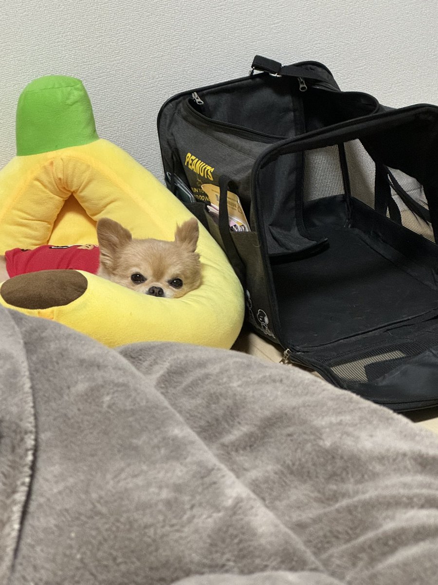 56ぽよ tweet media