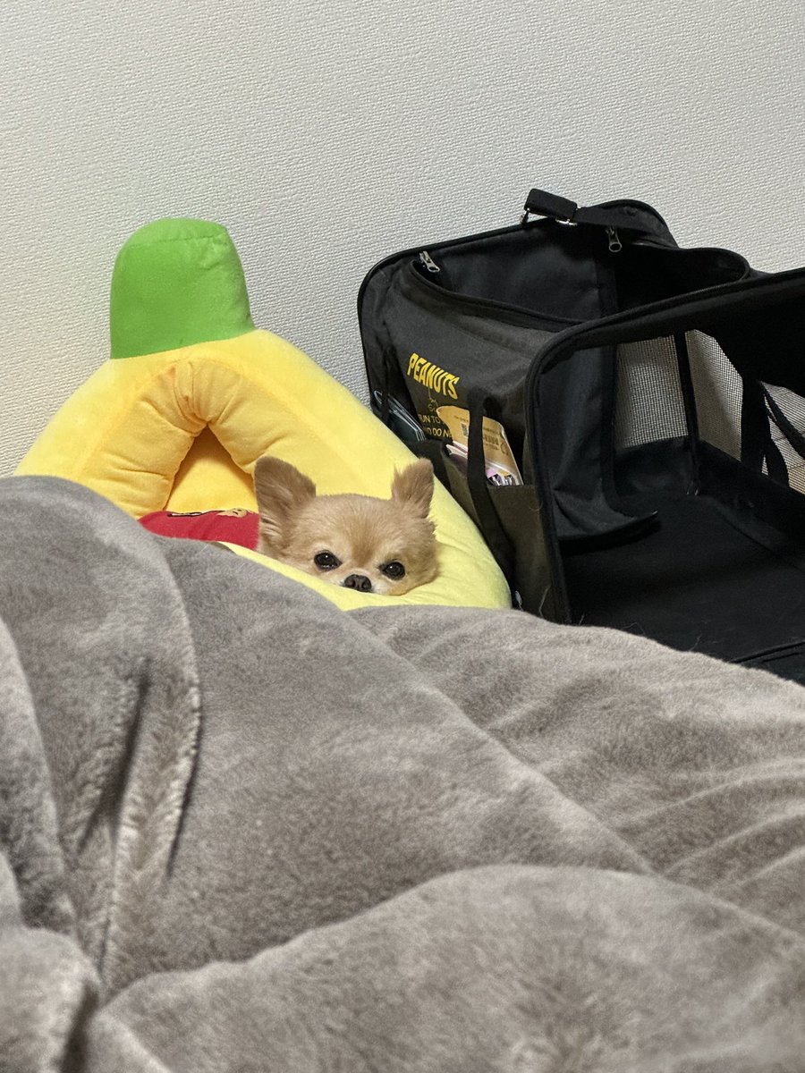 56ぽよ tweet media