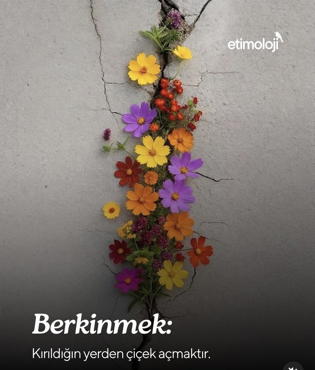 Kırıldığımız yerlerden tekrar çiçek açmayı diliyoruz.🌱🌸🌷

#Cumartesi