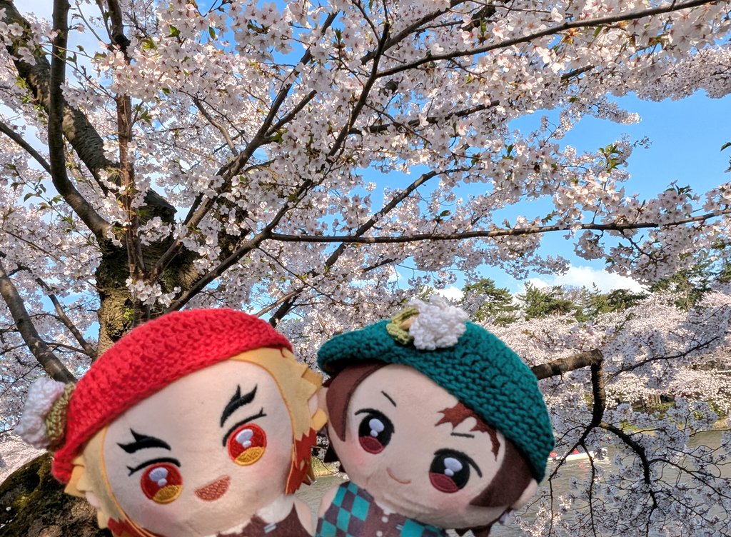 #自慢できるお花とぬいの写真みせて
地元の🌸とぬい達💕
可愛いねー🥰