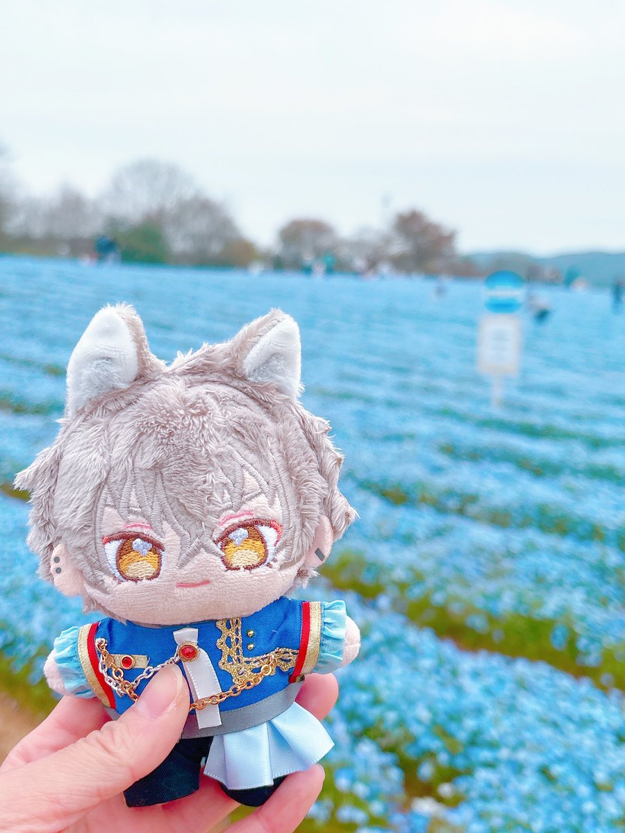 ちょろり tweet media