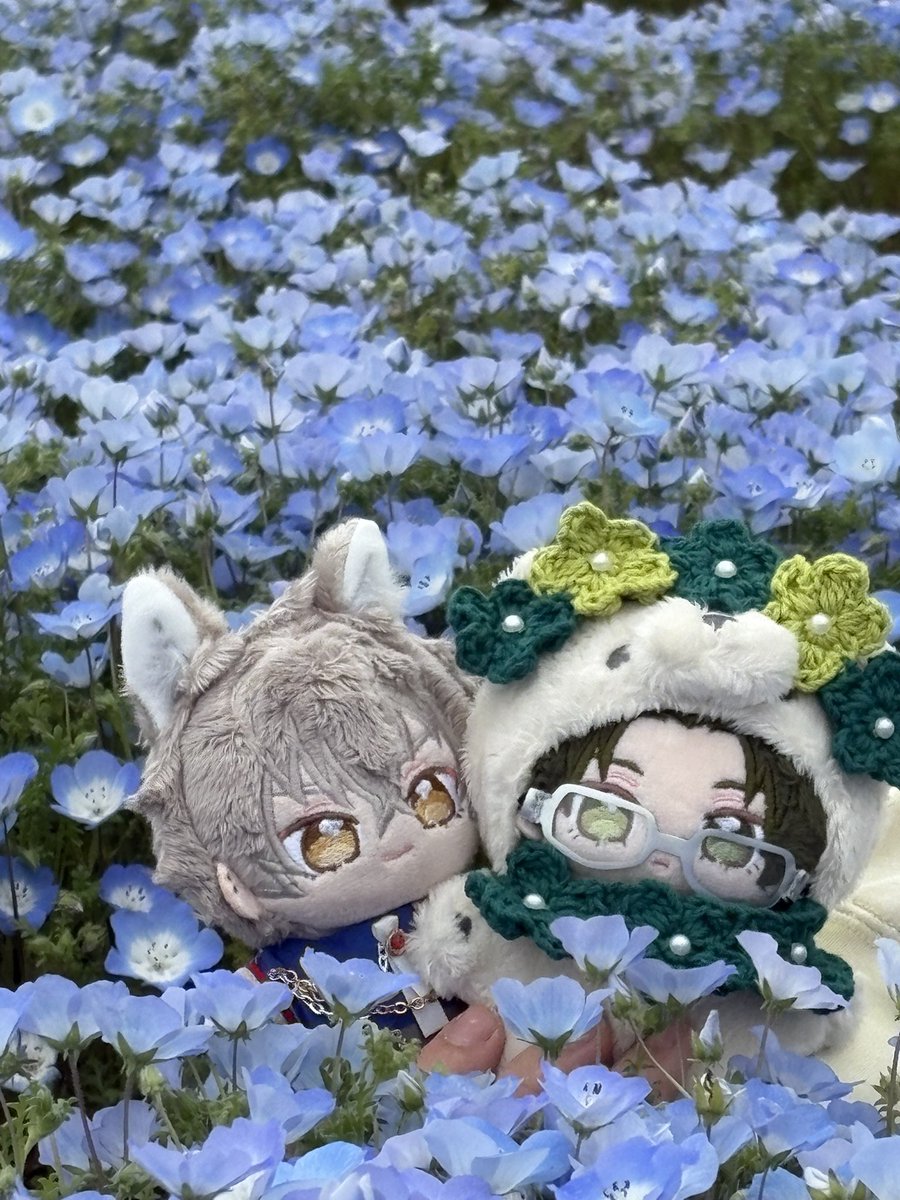 ちょろり tweet media