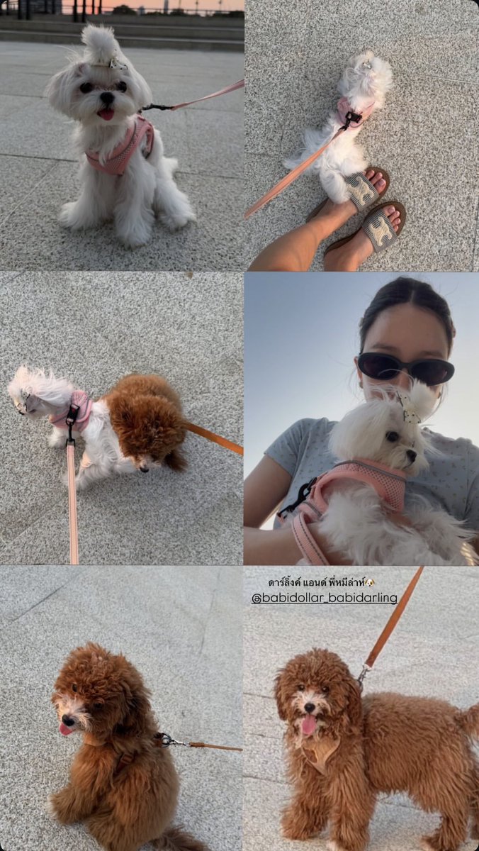 JUNE NANNIRIN OFFICIAL tweet media