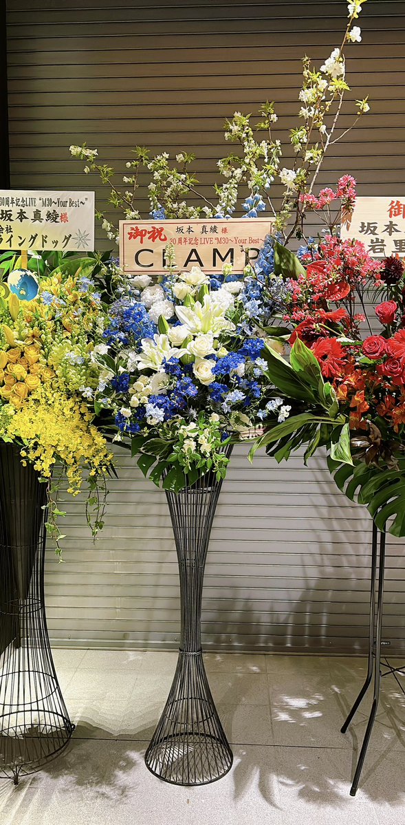 あかりんご tweet media