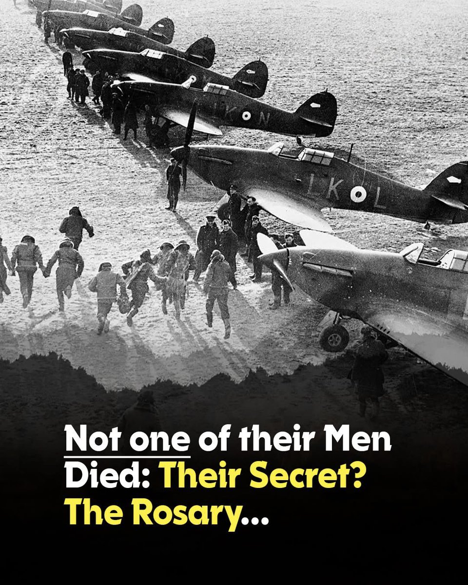 ☩ 𝕁𝕄𝕋 ☩ tweet media