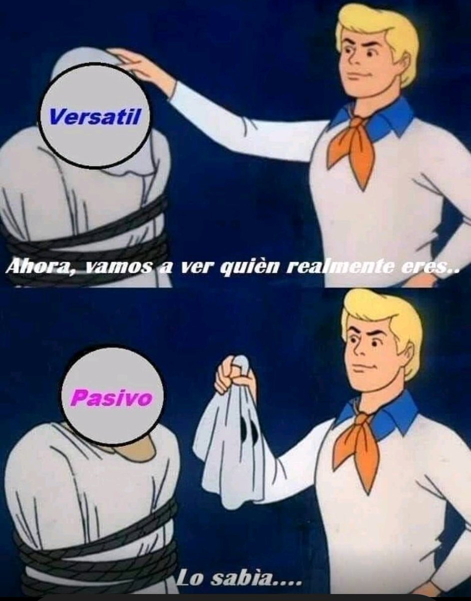 Alexander tweet media