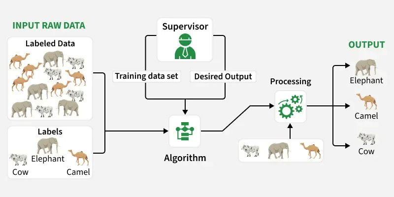 GeeksforGeeks | Learn to Code tweet media
