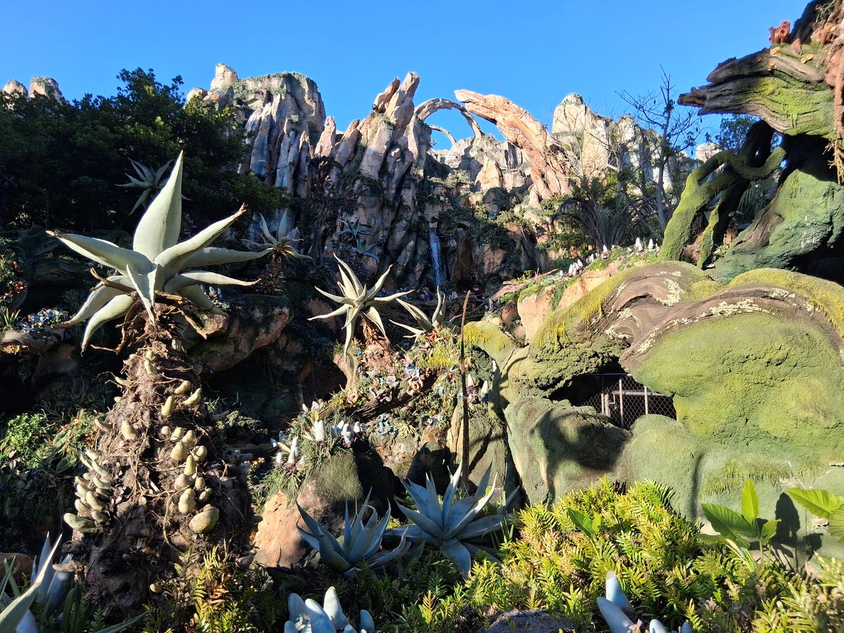 eliszander's tweet photo. "Gotta get to the ride" -14y.o.

At least the build-out of the world is pretty. https://t.co/m0Ei3t6knE