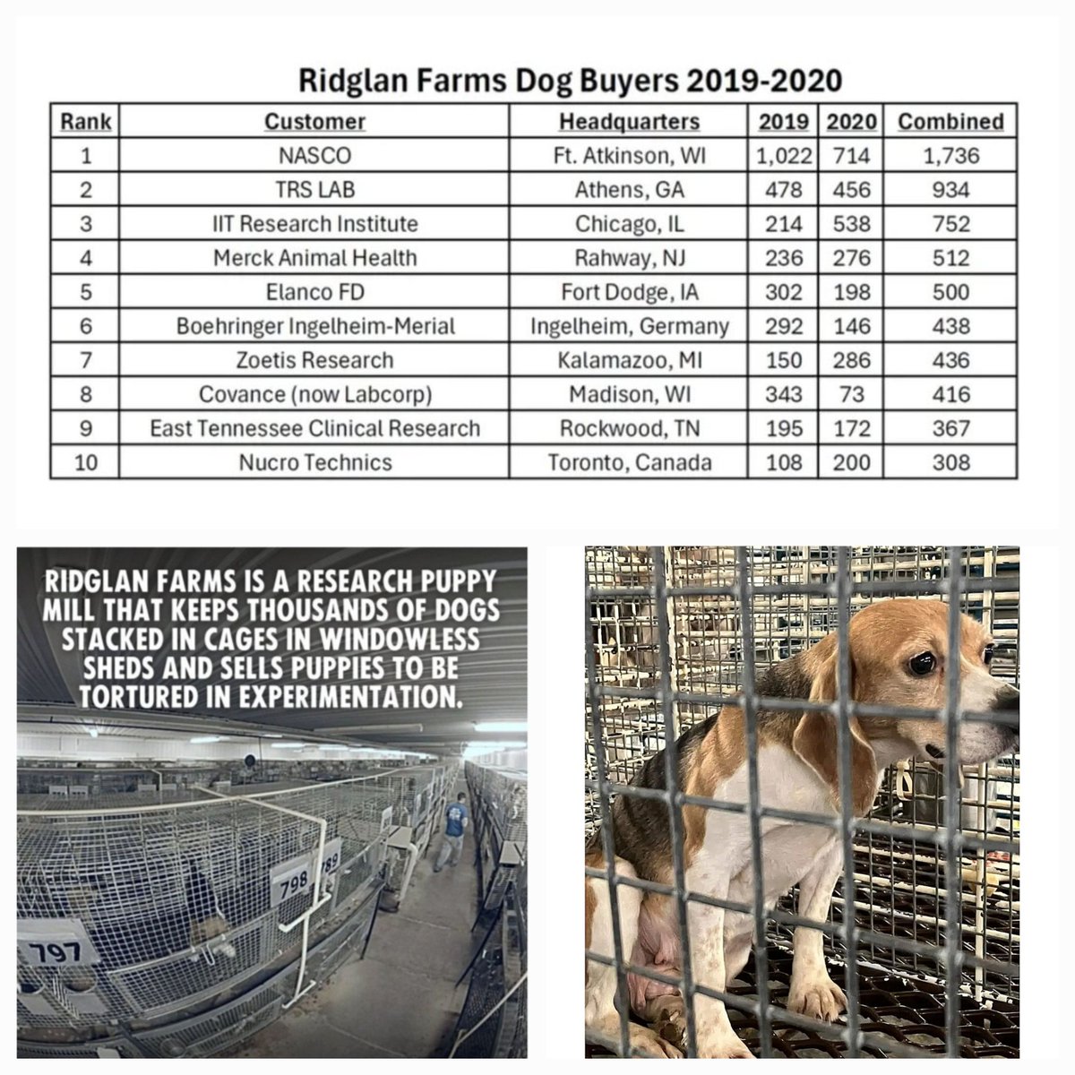 Pranav Vats Shukla tweet media