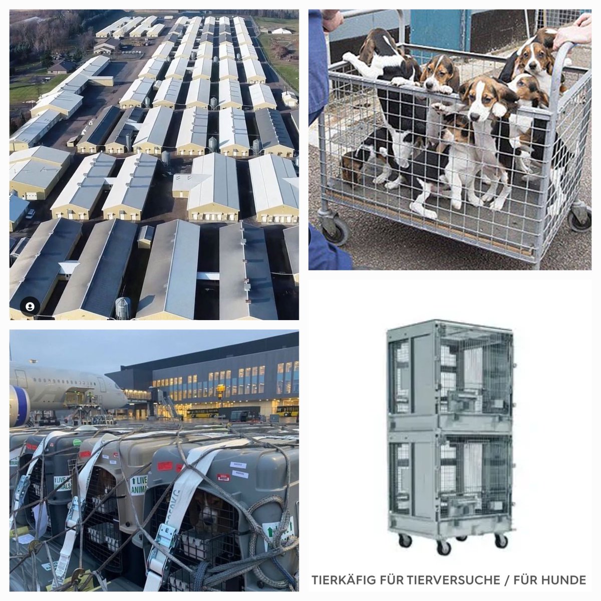 Pranav Vats Shukla tweet media